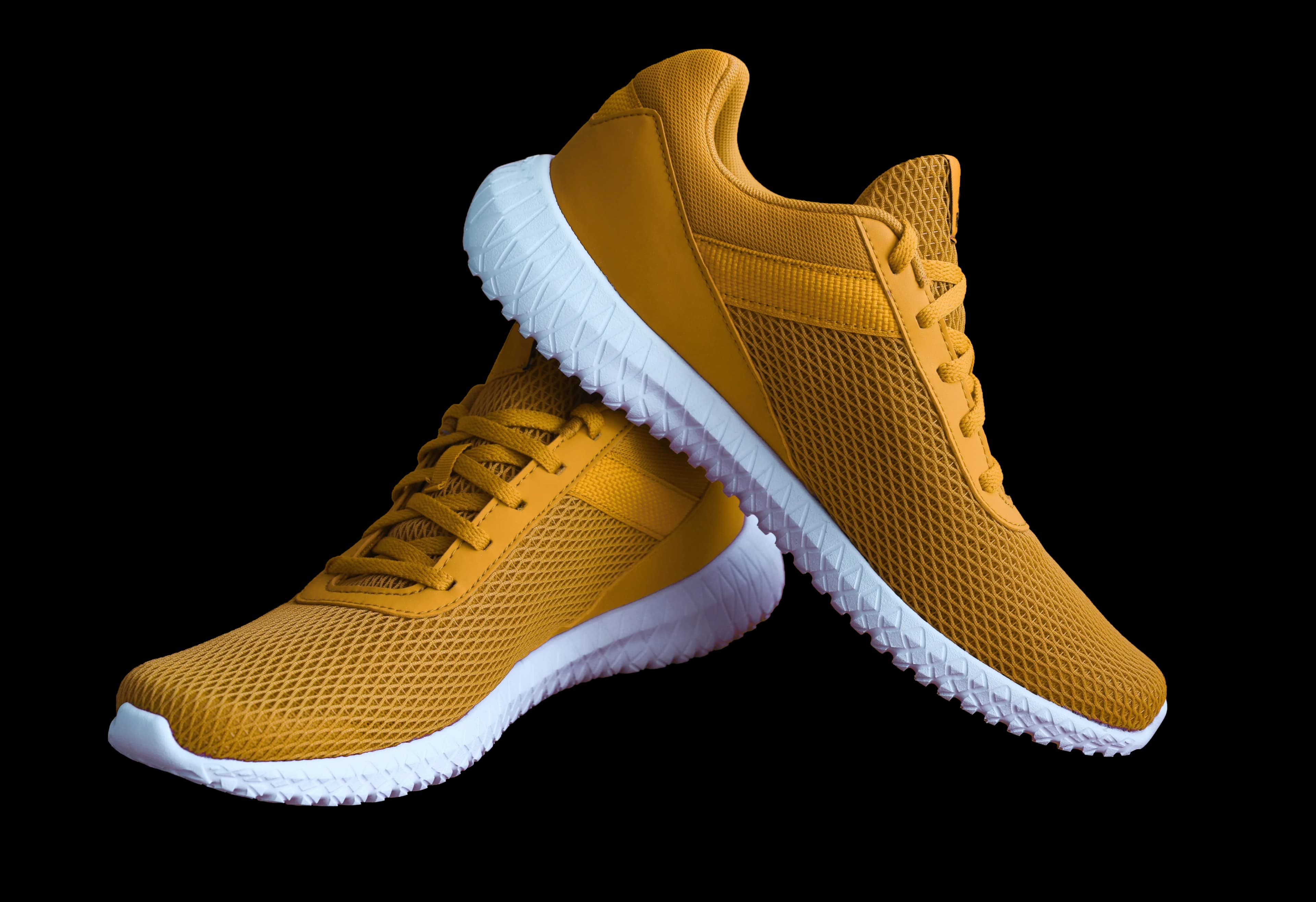 shoe